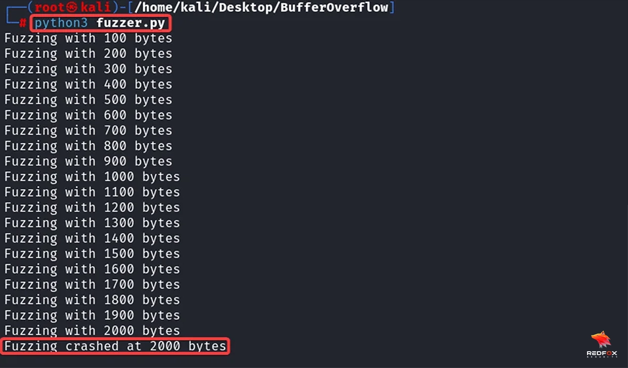 Python3 fuzzer