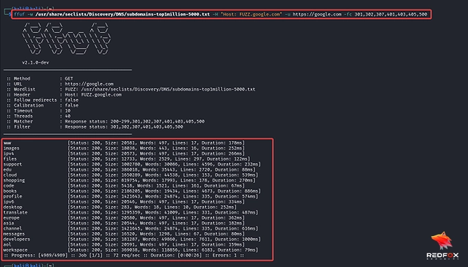 DNS Brute Forcing