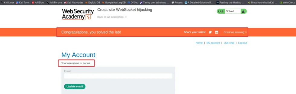 websocket hijacking