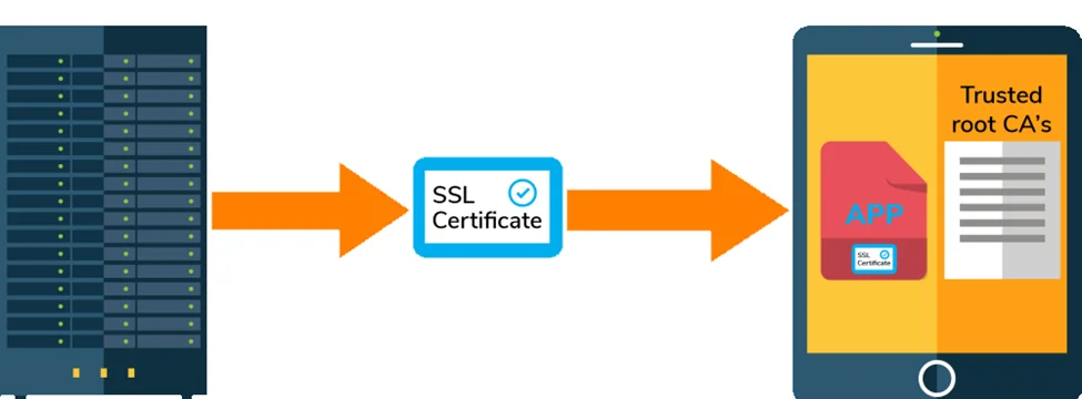 ssl pinning bypass